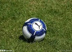 四川省,百城千乡万,社区,B体育官网,B体育平台,B体育链接,B体育官方