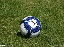 体育,资讯,B体育,B体育官网,B体育平台,B体育链接,B体育官方