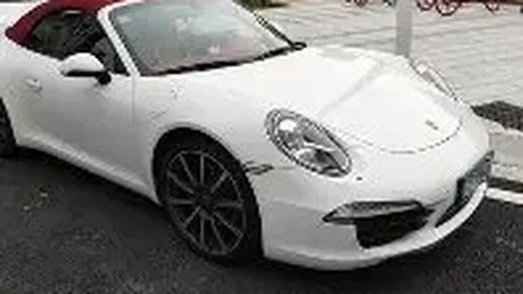 大象足球赛背后的无情现实，令人感慨万千