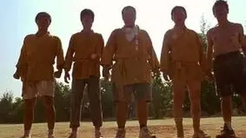 B体育 产品 133243 q1q